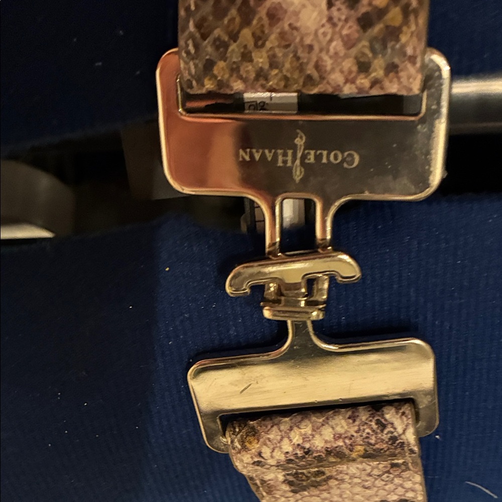 Cole Haan Snakeskin Belt with silver Buckle